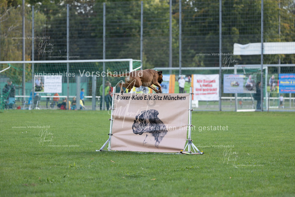 _16A5612 | Einzigartige Fotos von Hunden & Menschen –Actionfotos, Portraits, Vereinsaufnahmen & Paarshootings – authentisch, lebendig & mit Herz.