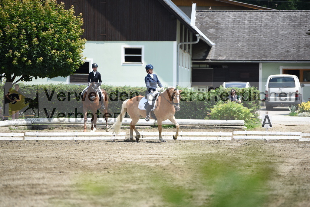 DSC_9624 | equestrian-live-com