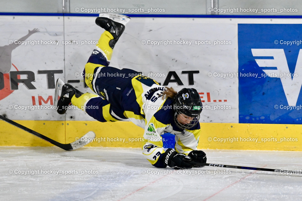 LADY HAWKS vs. WILDCATS PATERNION | #23 Stuppnig Iris WILDCATS PATERNION, LADY HAWKS vs. WILDCATS PATERNION, LADY HAWKS vs. WILDCATS PATERNION am 12.03.2025 in Steindorf (Ossiachersee Halle), Austria, (Photo by Bernd Stefan)