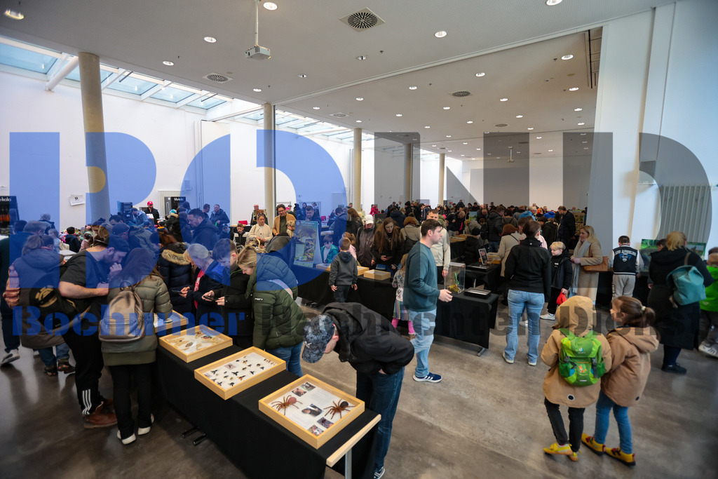 SES_INSBOC20250316-23 | bond - Realisiert mit Pictrs.com