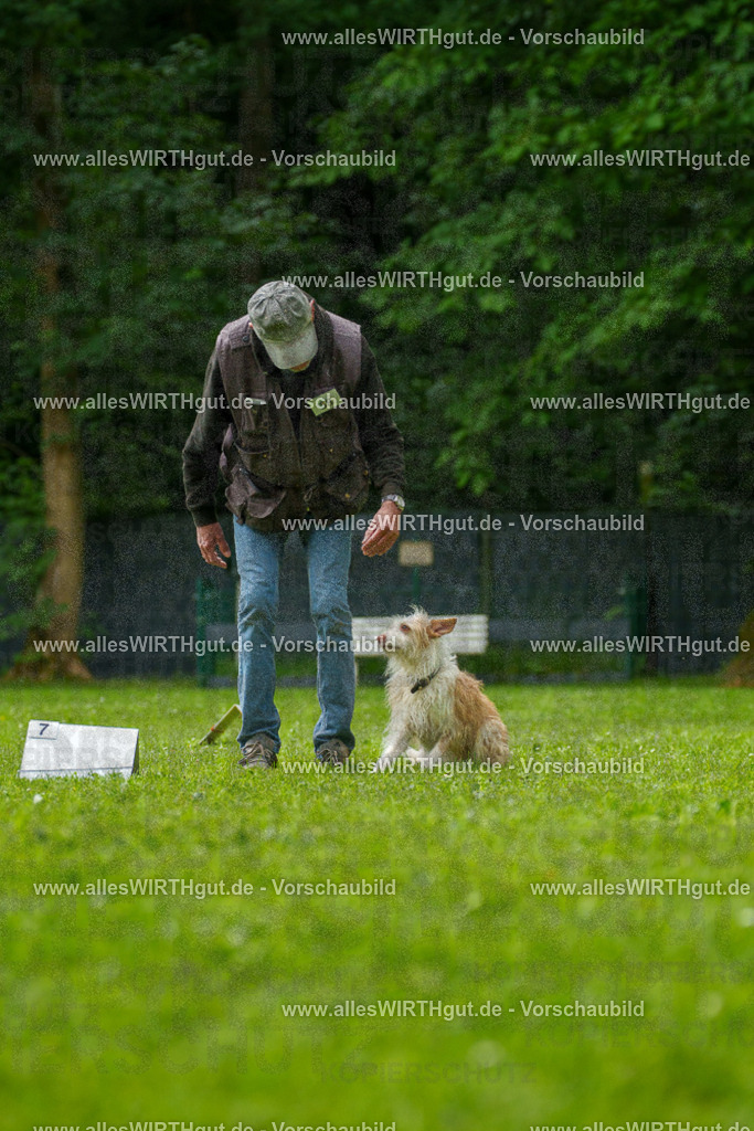 @allesWIRTHgut_Tierfotografie - www.allesWIRTHgut.de - 7R501334 | Professionelle Tierfotografie in Mönchengladbach von Daniel Wirth (allesWIRTHgut). Liebevolle & natürliche Bilder von Hunden & Katzen für unvergessliche Erinnerungen.