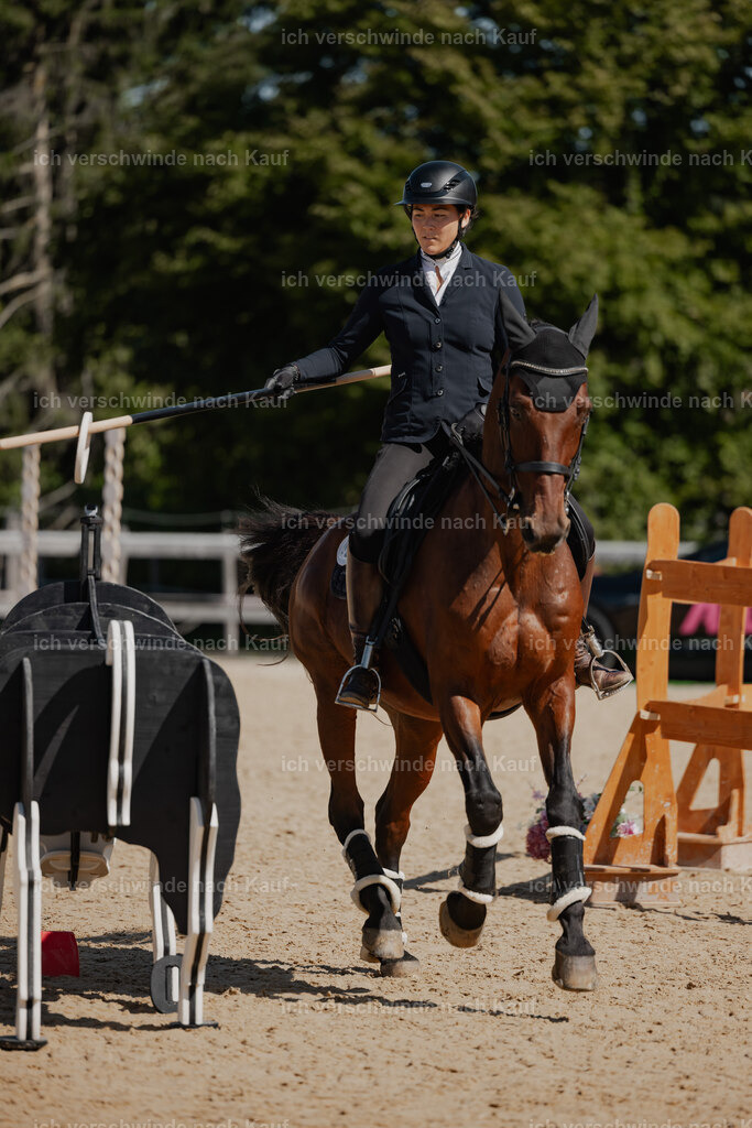 Nadine22_FHC2025-62 | working equitationturnier fotograf videograf stoibphotography marixx film working equitation deutschland reitsport turnierfotografie eventfotografie equestrian events