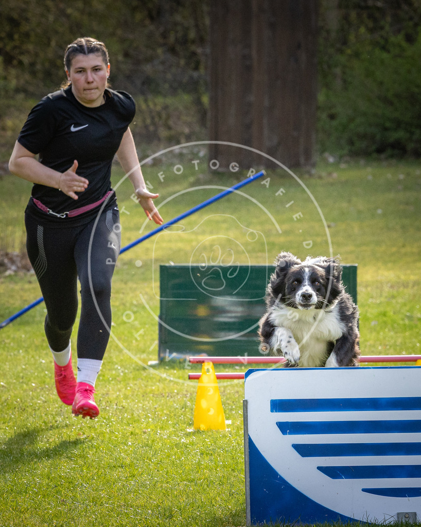 Pfotenfotografie_DV3A3672 | Hundefotografie, Tierfotograf, Pfotenfotografie, Fotoshooting Hund, Hunde Portrait, Hundesport, Hundeportraits, Heideshooting, Hunde, Sportfotograf, Hundefotograf, Turnierhundsport, THS,  - Realisiert mit Pictrs.com