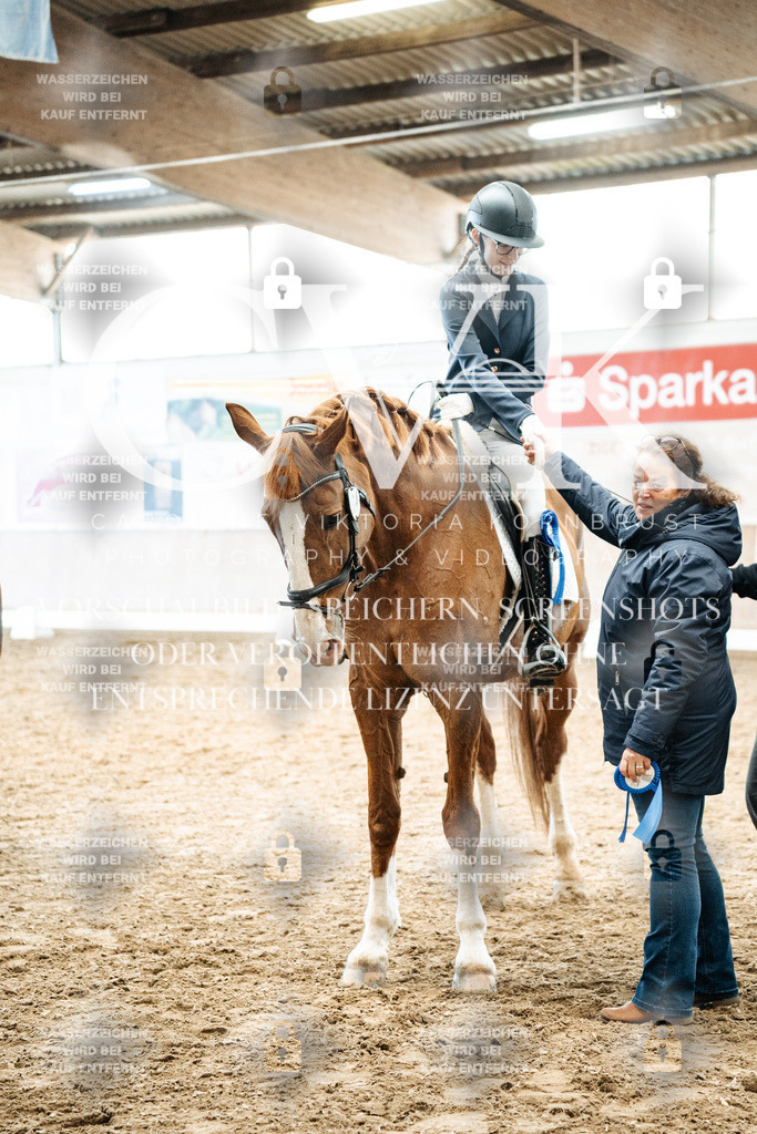 CK703079 | Turnierfotografie Pferdefotografie Trier Rheinland-Pfalz Pferdesport Reitsport Tierfotografie Sportfotografie Pferdevideo Pferdevideografie Equestrianvideography equestrianphotography  - Realized with Pictrs.com