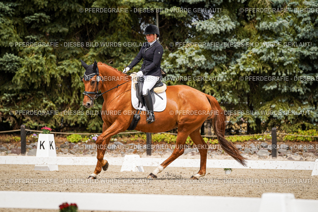 DSC03920 | Pferdegrafie