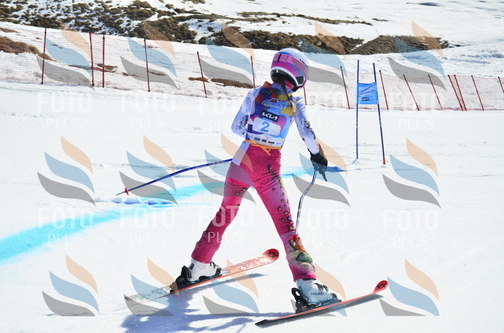 _ELE9700 | holidayphoto