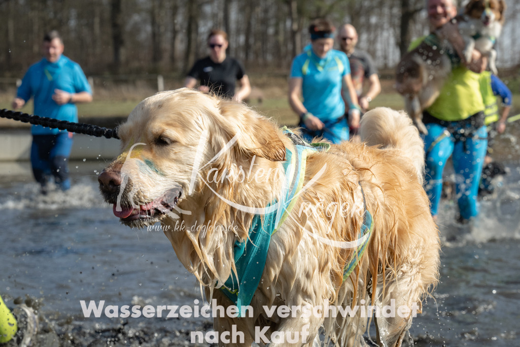 1347_ZZ98177 | kk-dogfotos