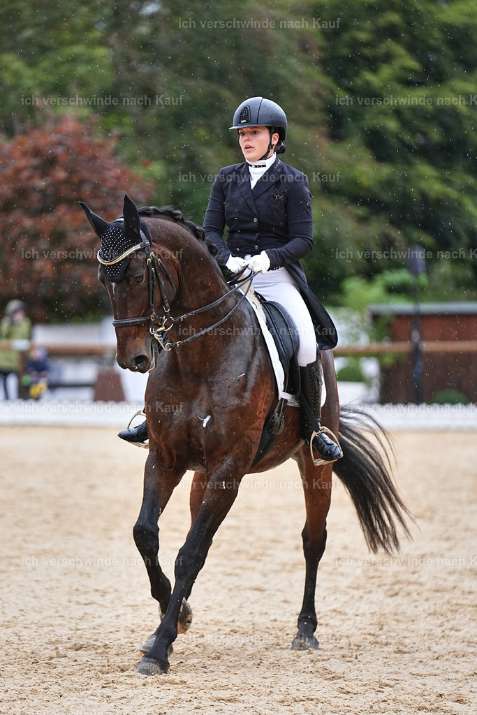 8_1-206-Klasse S_  -Marixx-4257 | working equitationturnier fotograf videograf stoibphotography marixx film working equitation deutschland reitsport turnierfotografie eventfotografie equestrian events