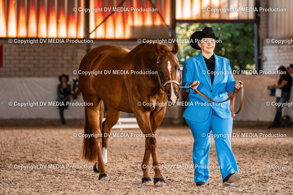 ZH100096 | dv-media-shop - Realisiert mit Pictrs.com