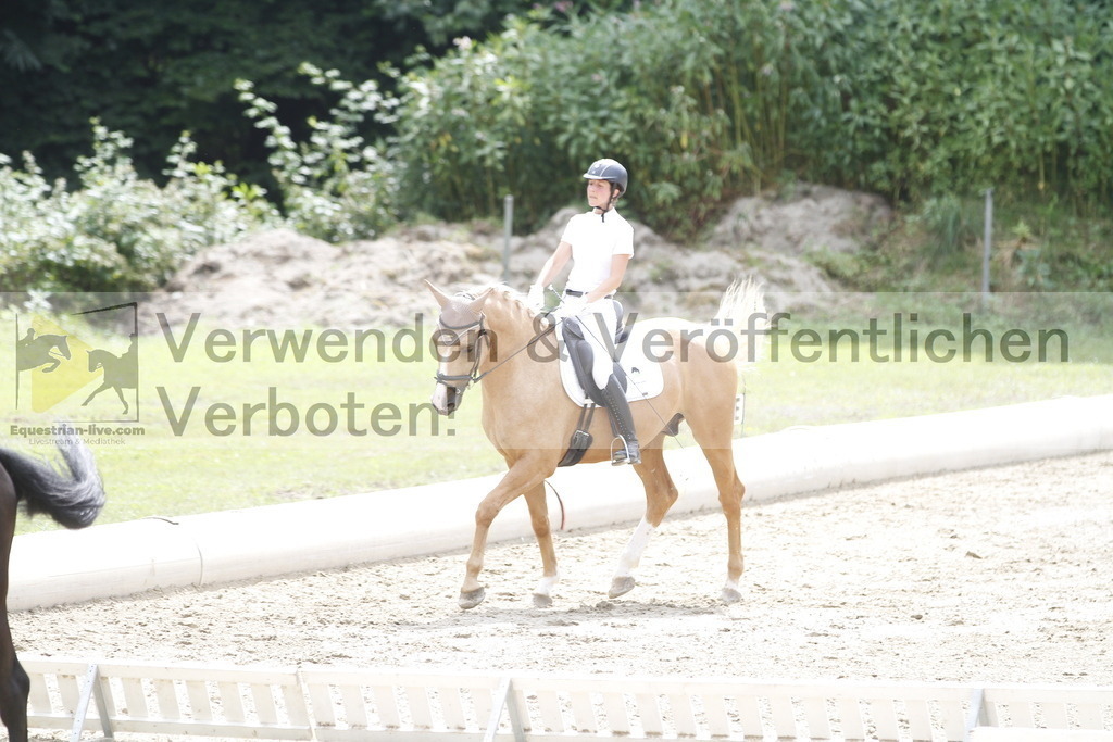 _MG_1347 | equestrian-live-com