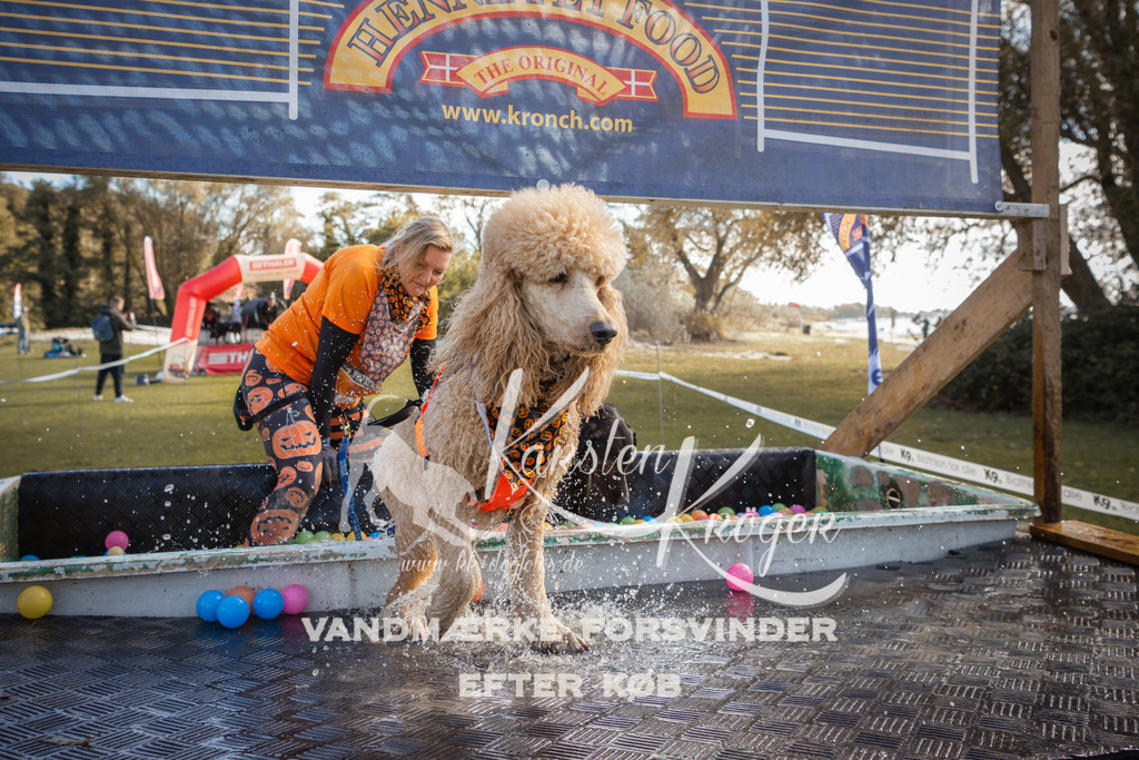 1307_ZZ99184-2 | kk-dogfotos