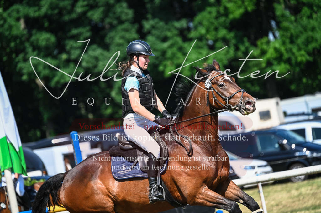 DSC_1507 | Pferde- und Turnierfotografie in Westsachsen. Pferdeportraits, Auftragszeichnungen und intuitive Kunst.