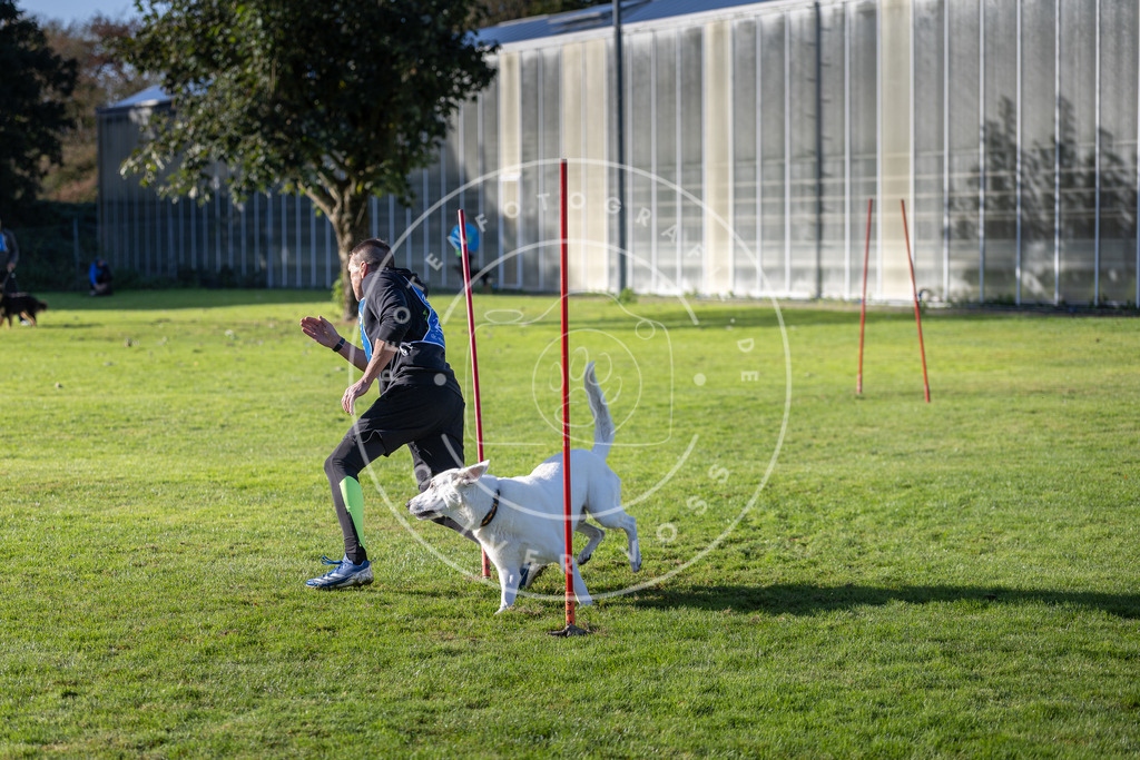 Pfotenfotografie.de_DV3A3225 | Hundefotografie, Tierfotograf, Pfotenfotografie, Fotoshooting Hund, Hunde Portrait, Hundesport, Hundeportraits, Heideshooting, Hunde, Sportfotograf, Hundefotograf, Turnierhundsport, THS, canicross - Realisiert mit Pictrs.com