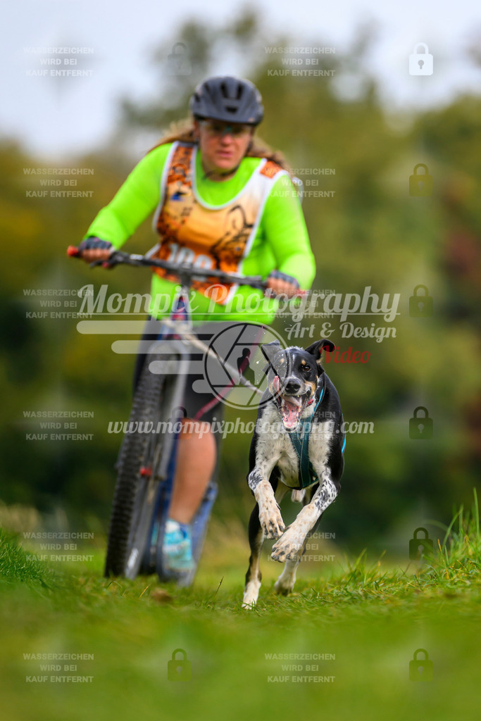 MompixPhotography_CDLBDB2025_DI_DS-93 | PayLife