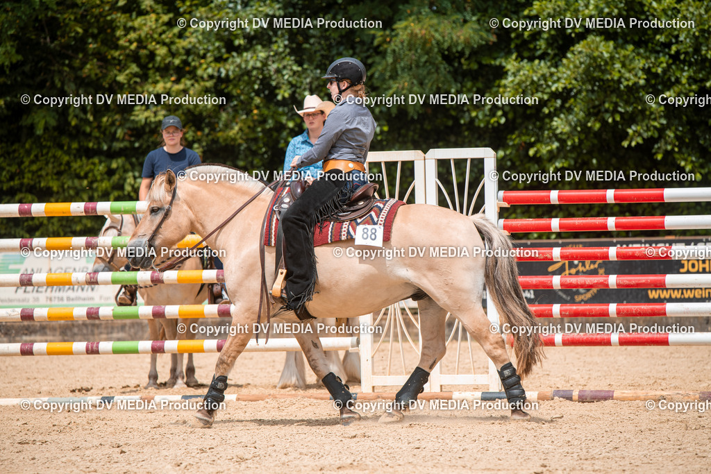 EWP_6302 | dv-media-shop - Realisiert mit Pictrs.com