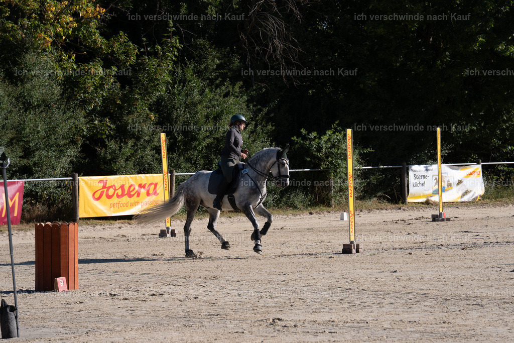 WL_SP_69_SinaFilmArt_IN05184 | working equitationturnier fotograf videograf stoibphotography marixx film working equitation deutschland reitsport turnierfotografie eventfotografie equestrian events