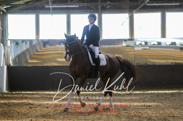 IMG_2736 | Turniersportfotografie; Pferdefotografie; Dressurfotografie