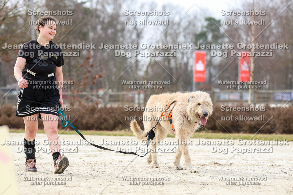 Dog Paparazzi - Strongdog North Mrz26-5787 | Dog Paparazzi Jeanette Grottendiek Fotografie & Videografie - Realisiert mit Pictrs.com