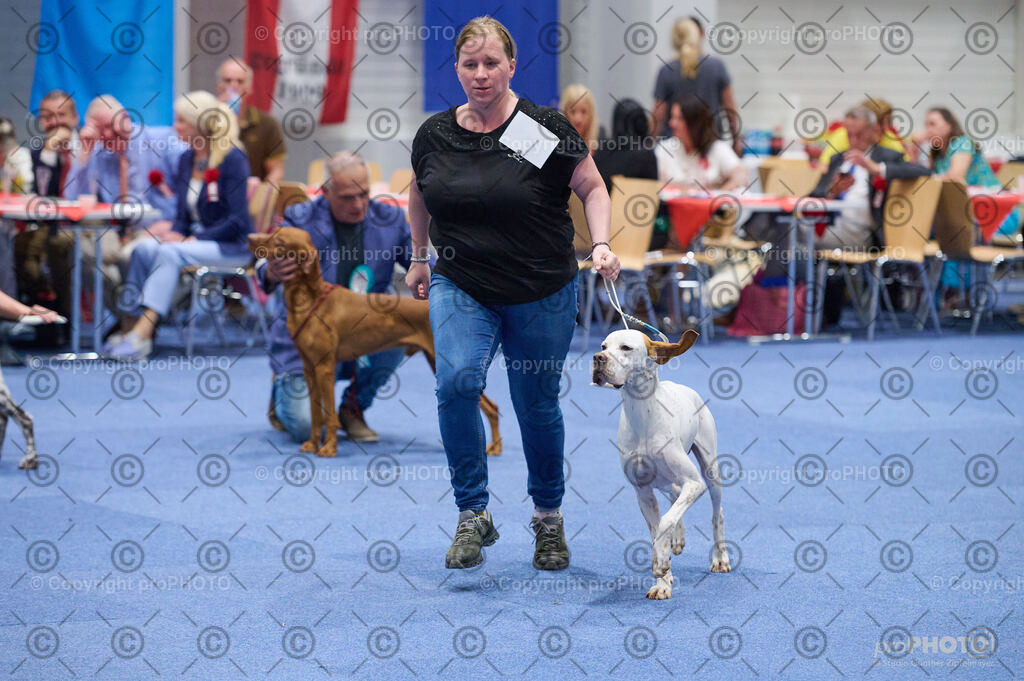 202406_ÖKV-IHA-Tulln24_DSC_3138 | proPHOTO - Realisiert mit Pictrs.com