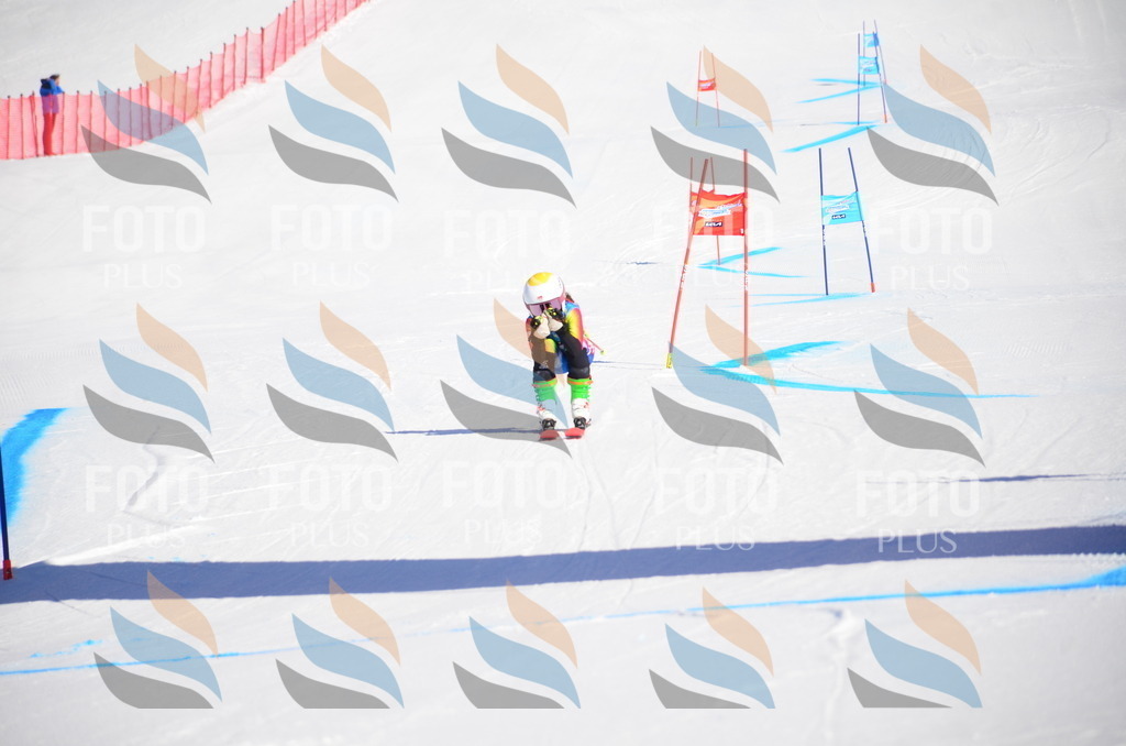 VR4_8495 | holidayphoto