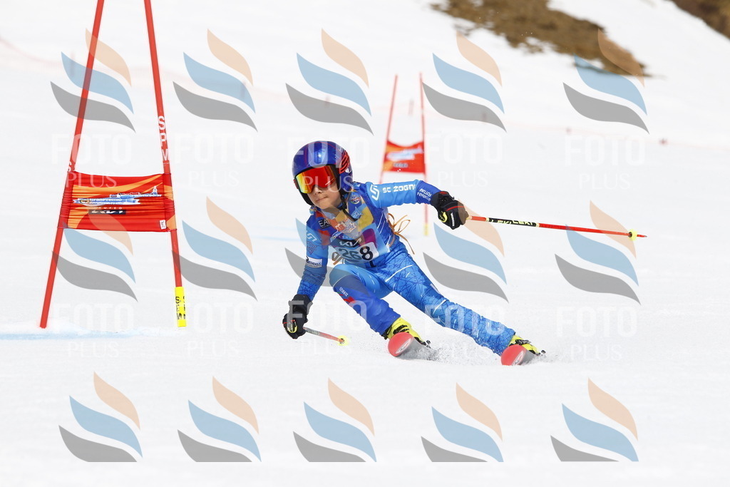 _U3G6725 | holidayphoto