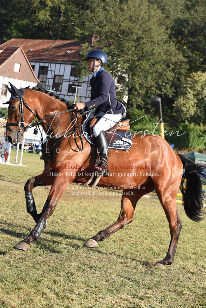 DSC_5053 | Pferde- und Turnierfotografie in Westsachsen. Pferdeportraits, Auftragszeichnungen und intuitive Kunst.