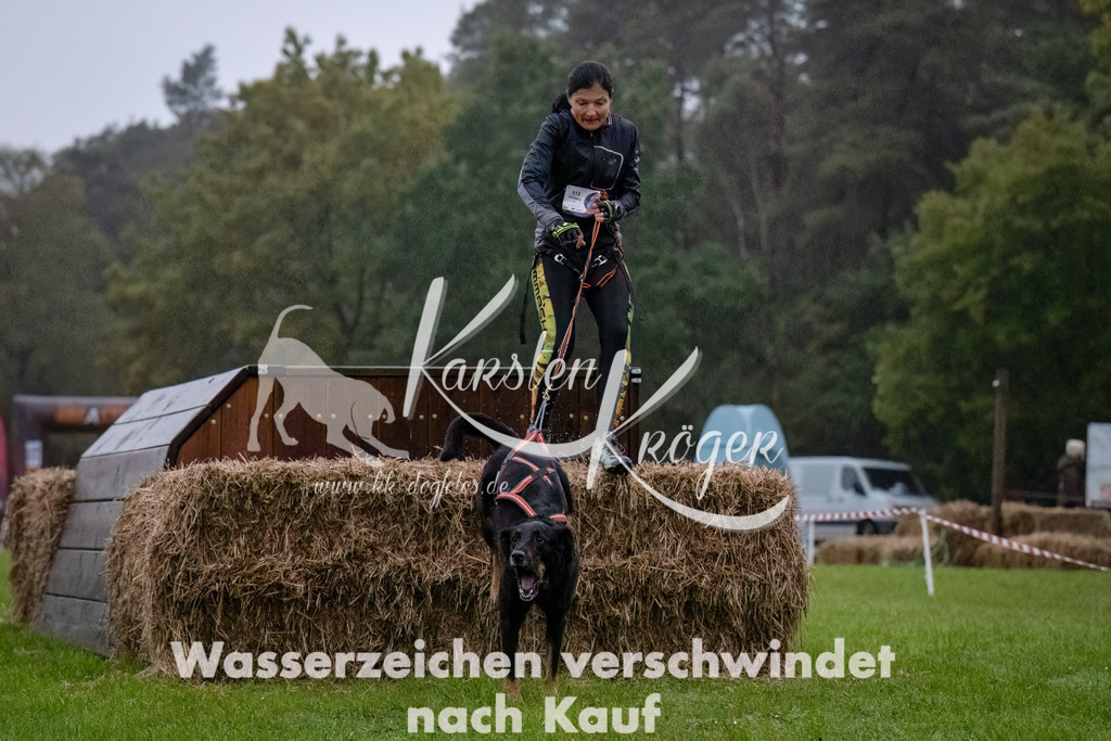 0810-_ZZ90550-Bearbeitet-Bearbeitet | kk-dogfotos