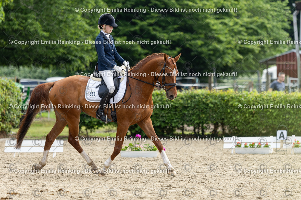 CL5A4983 | Emilia Reinking Fotografie - Realisiert mit Pictrs.com