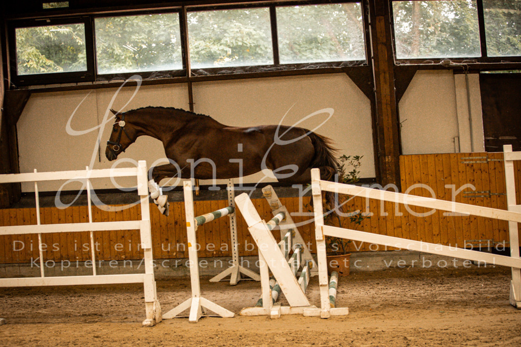 2FS_L00071 | Leoni Ertmer Photography - Realisiert mit Pictrs.com