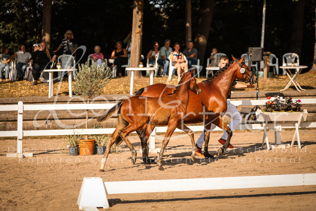 11.DoRP00124 | Leoni Ertmer Photography - Realisiert mit Pictrs.com