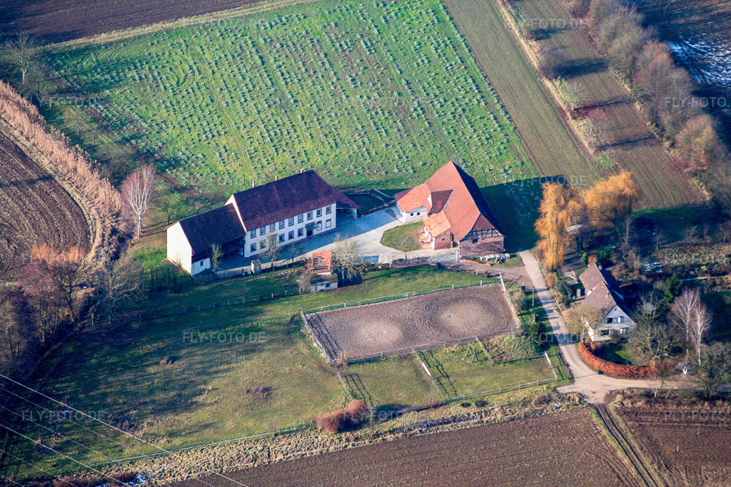 Luftbild: Minfeld Altmühle in Minfeld im Bundesland Rheinland-Pfalz in Deutschland. Foto: IMG_0581.jpg vom 08.01.2006 durch Werner Riehm/FLY-FOTO.de