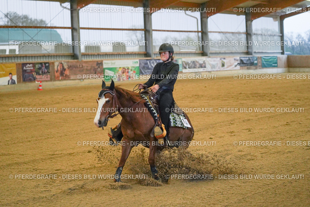 DSC09548 | Pferdegrafie