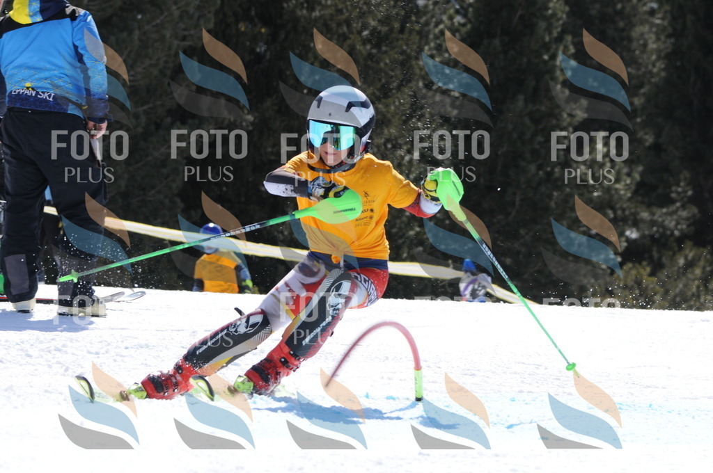 C9310 | holidayphoto