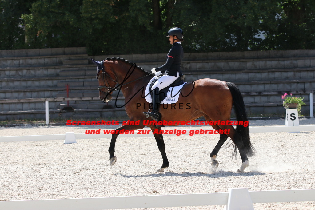 IMG_5229 | lmwpictures - Realisiert mit Pictrs.com