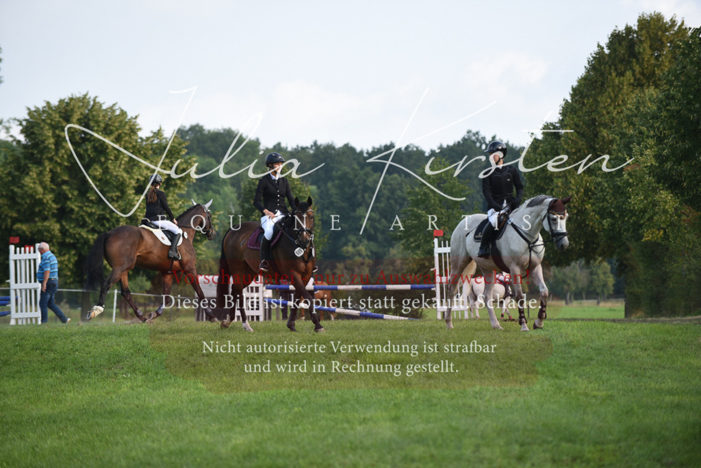 DSC_8567 | Pferde- und Turnierfotografie in Westsachsen. Pferdeportraits, Auftragszeichnungen und intuitive Kunst.