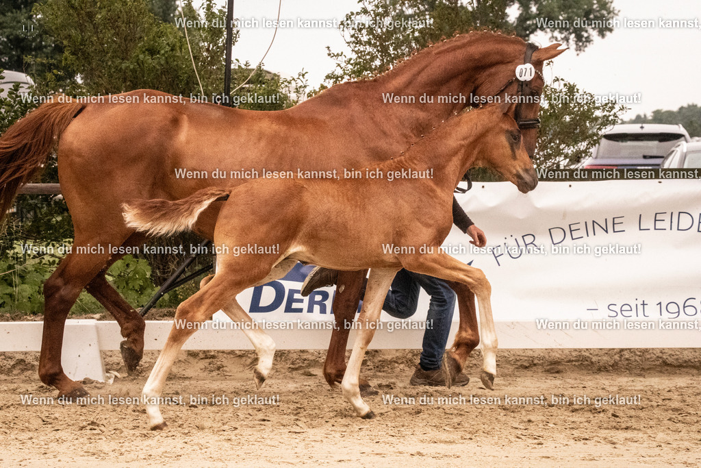 A10I1275 | photographylinaismer - Realisiert mit Pictrs.com