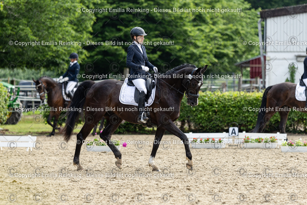 CL5A5173 | Emilia Reinking Fotografie - Realisiert mit Pictrs.com