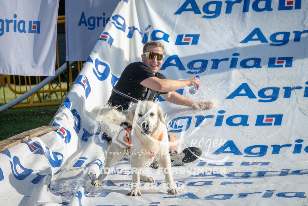 0923_ZZ95170 | kk-dogfotos