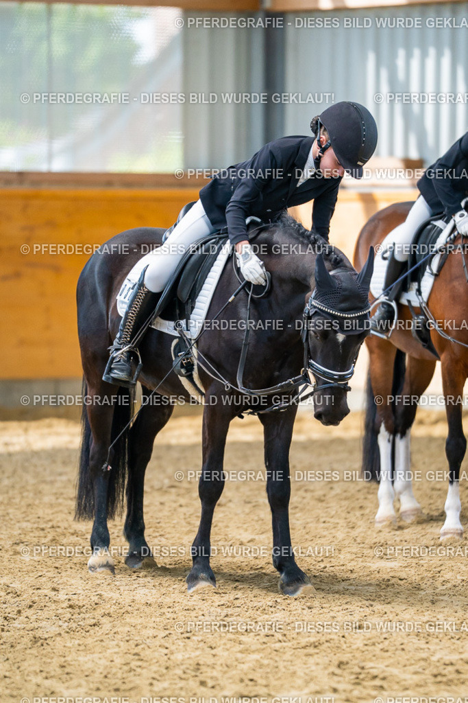 DSC01140 | Pferdegrafie
