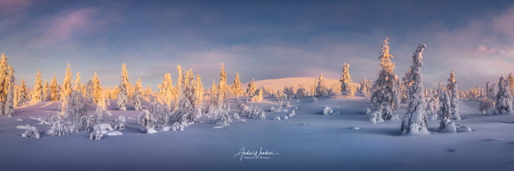 Wintermärchen (3 zu 1 Panorama) | Andre Wandrei - Nature Artworx - Realisiert mit Pictrs.com