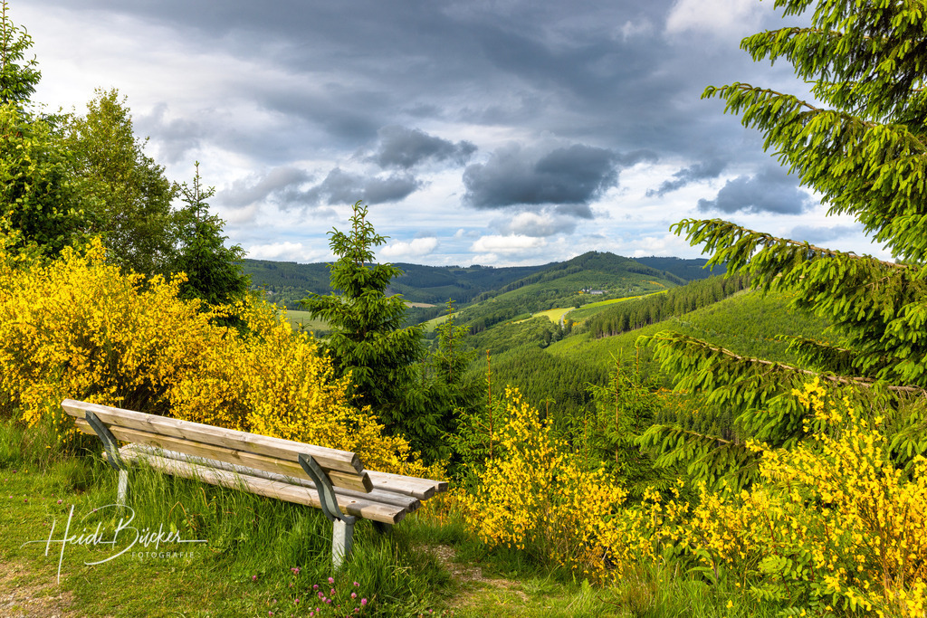 Westfeld und Umgebung 014 | Bilder und Impressionen zu jeder Jahreszeit aus dem Sauerland im Naturpark Sauerland-Rothaargebirge - Realisiert mit Pictrs.com