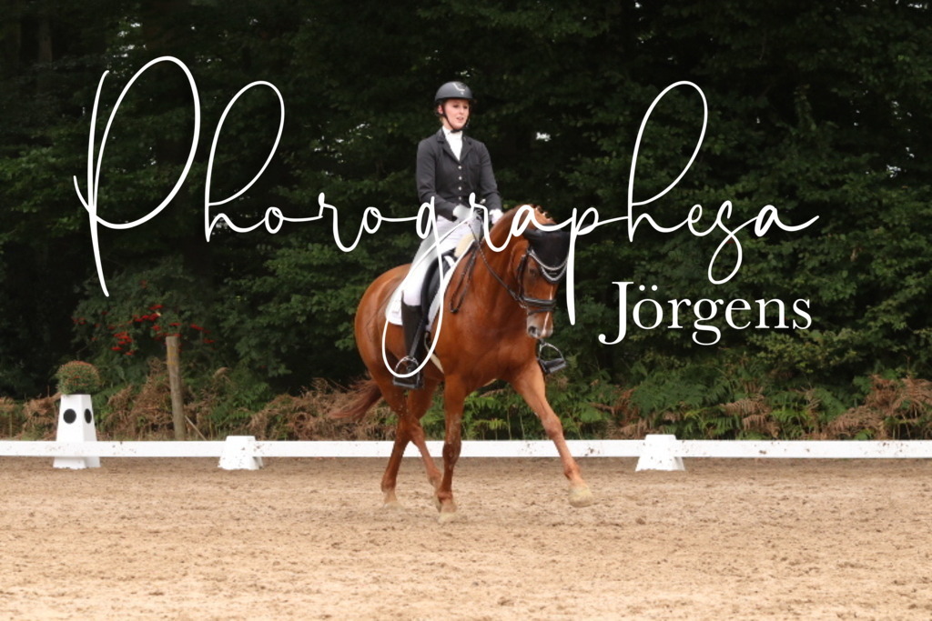 IMG_0020 | photographesa-joergens - Realisiert mit Pictrs.com