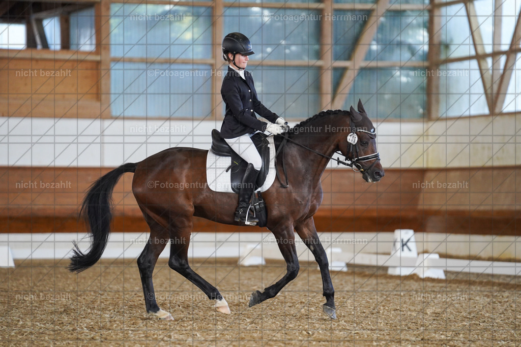 20240824-FAH07004 | Thierhaupten 2024, Bayerisches Landesponyturnier, Turnierbilder, Ponybilder, Turnierfotografen Bayern, Fotoagentur Herrmann