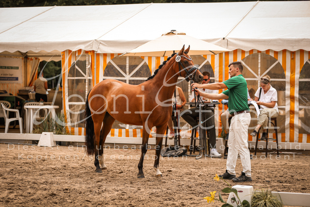 10.So00105 | Leoni Ertmer Photography - Realisiert mit Pictrs.com