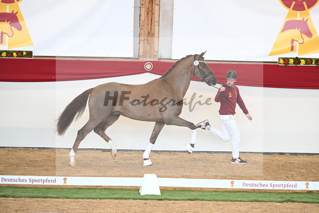 Kat.-Nr. 83 v. Va Bene_Winklmaier_2250882 | hf-fotografie - Realisiert mit Pictrs.com
