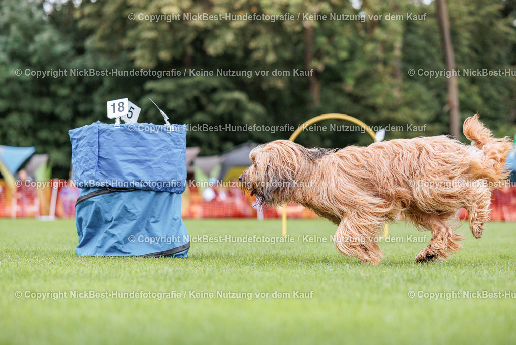 BSP Hoopers-H2 Tag2-2026-Nickbest-Hundefotografie-TuS Komet Arsten e.V.-8597 | Dein Hund! Dein Moment! Deine Erinnerungen! Hundefotografie in Bremen Blumenthal. Ich fange die besonderen Momente deines Vierbeiners ein – ob Indoor mit Blitzanlage oder in der freien Natur. Sicher dir dein Moment und dein Termin für eure Erinnerungen.