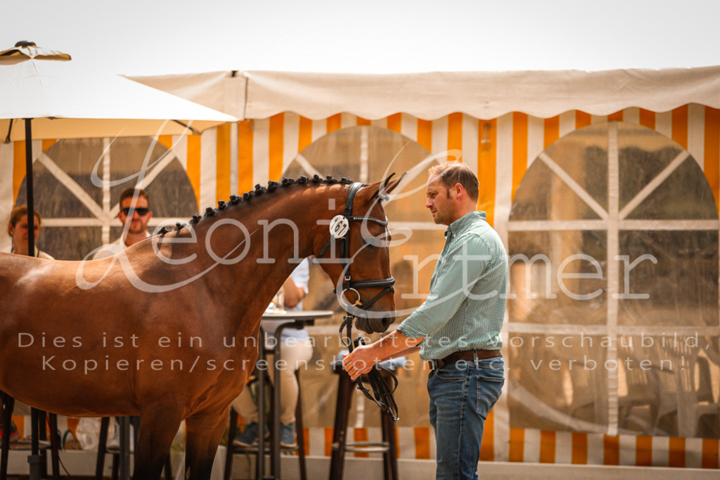 11.So00029 | Leoni Ertmer Photography - Realisiert mit Pictrs.com