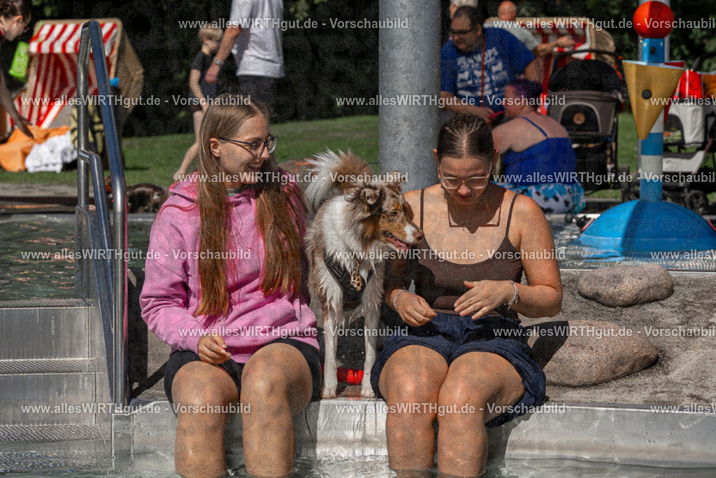 Hundeschwimmen_Volksbad_2026-allesWIRTHgut_Tierfotografie-2609061402-FAY06866 | Professionelle Tierfotografie in Mönchengladbach von Daniel Wirth (allesWIRTHgut). Liebevolle & natürliche Bilder von Hunden & Katzen für unvergessliche Erinnerungen.