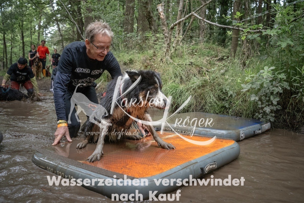 1300_ZZ91959T | kk-dogfotos