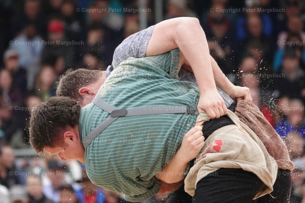 DSC03790 | Schwingen - Realisiert mit Pictrs.com